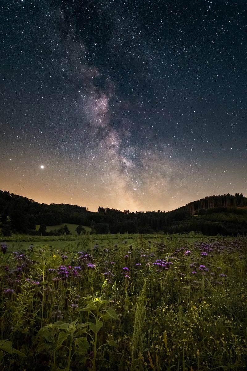 Galactic Elegance