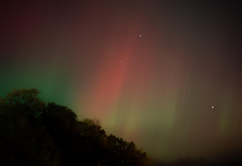 Aurora Grove